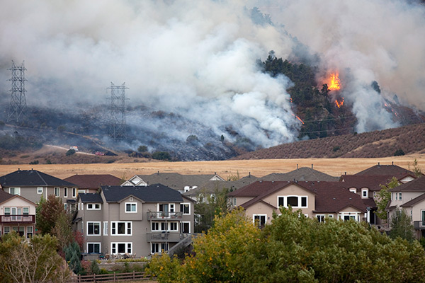 wildfire
